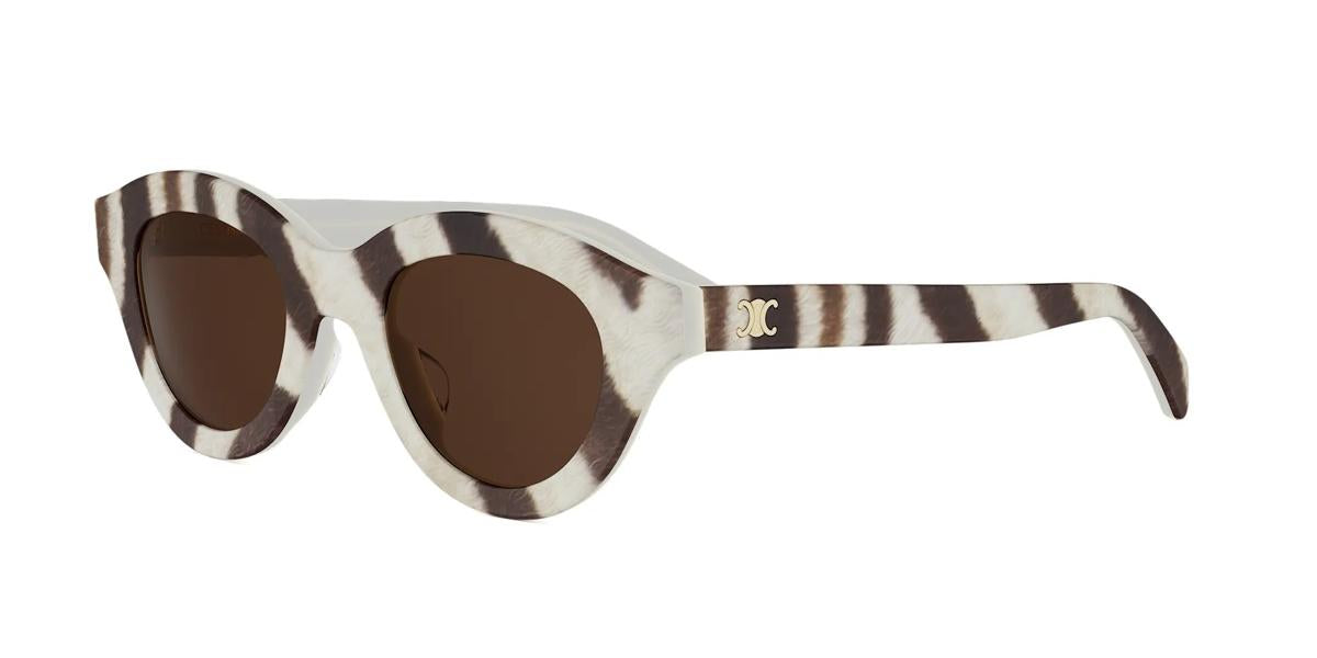 99E - Acetate Shiny Brown with Brown Normal lenses