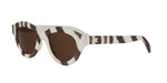 99E - Acetate Shiny Brown with Brown Normal lenses