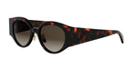 52F - Acetate Shiny Dark Havana / Gradient Brown