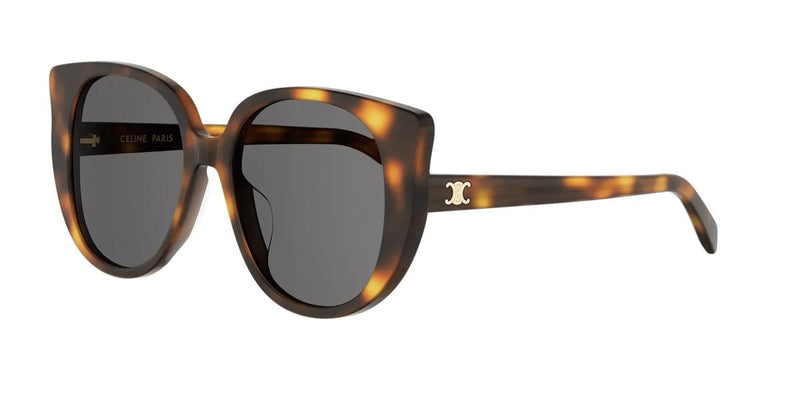 53A - Acetate Shiny Havana with Grey Normal lenses