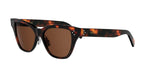 52E - Acetate Shiny Havana with Brown Normal lenses / 