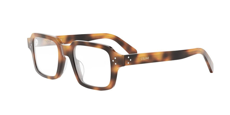 053 - Acetate Shiny Havana