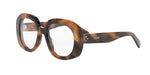 053 - Acetate Shiny Havana with DEMO lenses / 