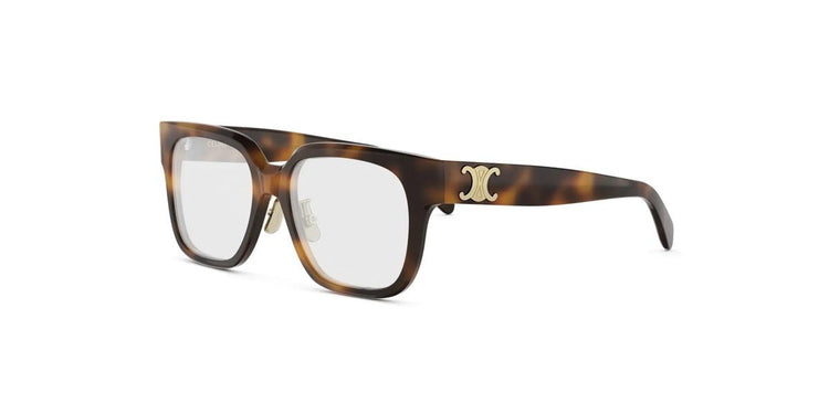 053 - Acetate Shiny Havana