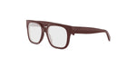 048 - Acetate Shiny Brown / 