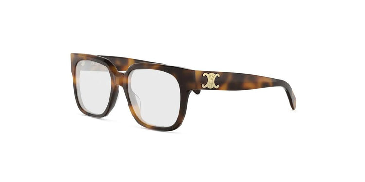 053 - Acetate Shiny Havana