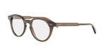 048 - Acetate Shiny Brown / 
