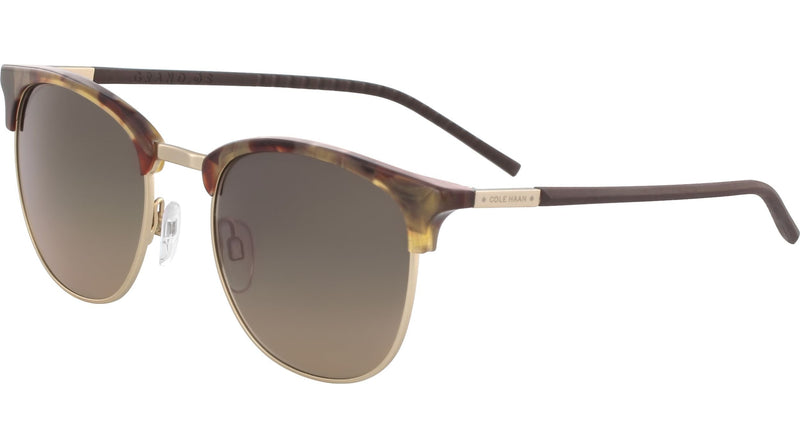 245 - BROWN TORTOISE