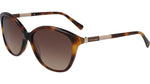 240 - SOFT TORTOISE / 