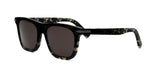 29F0 - Acetate Shiny Havana with Brown Normal lenses / 