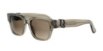 64F1 - Acetate Shiny Brown with Brown Gradient lenses / 