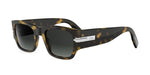 20C1 - Acetate Shiny Havana with Green Gradient lenses / 