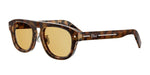 24H0 - Acetate Shiny Havana with Yellow Normal lenses