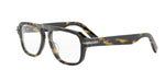 2000 - Acetate Shiny Havana with DEMO lenses / 