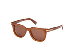 45E - Shiny Light Brown / brown