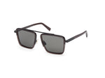 48D - Shiny Dark Brown / smoke polarized