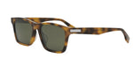 53N - Acetate Shiny Havana with Green Normal lenses / 