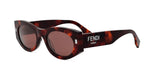 54S - Acetate Shiny Havana with Red Normal lenses / 