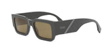 20E - Acetate Shiny Grey with Brown Normal lenses / 