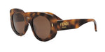 53E - Acetate Shiny Havana with Brown Normal lenses / 