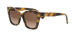 53F - Acetate Shiny Havana with Brown Gradient lenses / 