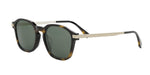 52N - Acetate Shiny Havana with Green Normal lenses / 