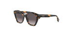 56B - Acetate Shiny Havana with Havana Gradient lenses / 