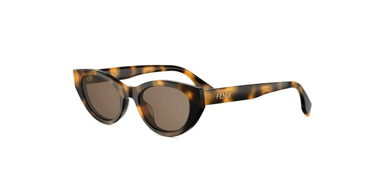 52E - Acetate Shiny Havana with Brown Normal lenses