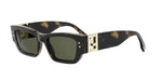 55N - Acetate Shiny Havana with Green Normal lenses / 