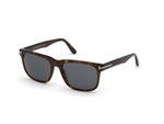 52A - Dark Havana / smoke