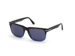 55V - Havana/Monocolor / blue