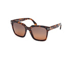 52H - Dark Havana / brown polarized