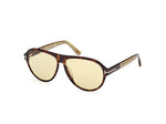 52N - Dark Havana / green