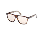 52E - Dark Havana / Shiny Beige / brown