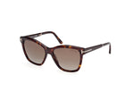 52H - Dark Havana / Dark Havana / brown polarized