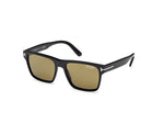 01H - Shiny Black / brown polarized