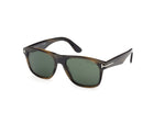 55N - Coloured Havana / green