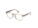 095 - Shiny Dark Green / Coloured Havana / 