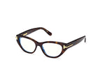 052 - Dark Havana / 
