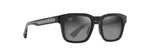 GS643-14 - Shiny Black w in Trans Light Grey / Neutral Grey