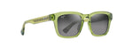 GS643-15 - Shiny Trans Grass Green / Neutral Grey