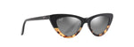 DSB891-02A - Black with Tokyo Tortoise / Neutral Grey