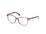 081 - Shiny Violet / 