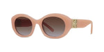 73T - Acetate Shiny Rose with Brown Gradient lenses / 