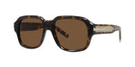 52E - Acetate Shiny Havana with Brown Normal lenses / 
