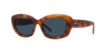 53V - Acetate Shiny Havana with Blue Normal lenses / 