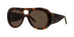 53E - Acetate Shiny Havana with Brown Normal lenses / 