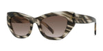 56F - Acetate Shiny Brown with Brown Gradient lenses / 