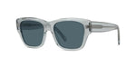 20V - Acetate Shiny Grey with Blue Normal lenses / 