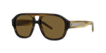 62J - Acetate Shiny Havana with Brown Normal lenses / 